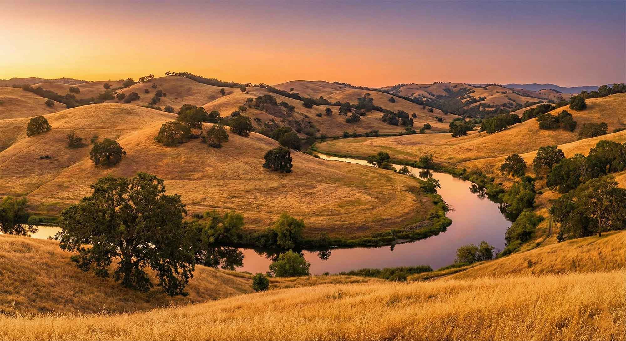 The Million-Follower Roadmap: Engineering Growth in 2026